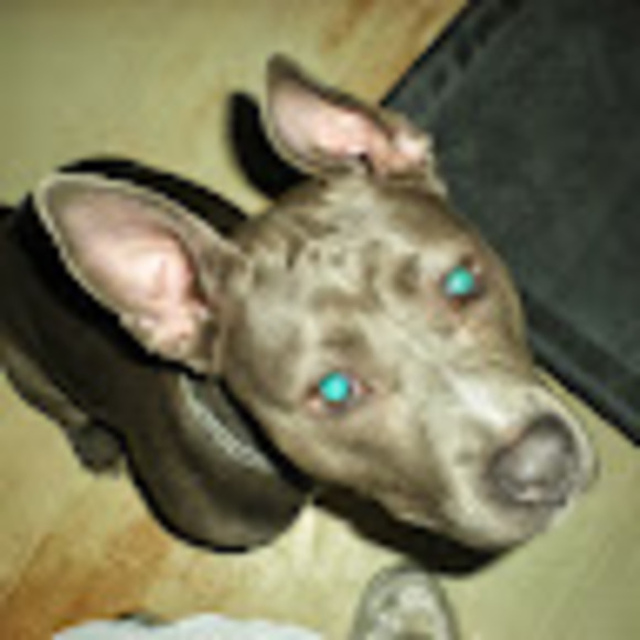 Meet your Posher, Brynda - Picture 1 of 1